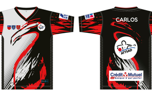 Maillot championnat