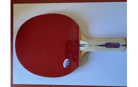 RAQUETTE NEUVE BOIS DAUPHIN ALLROUND